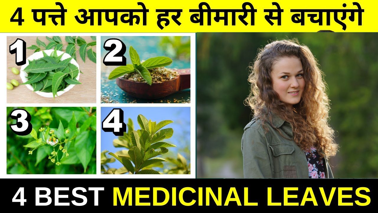 चमत्कारी पत्ते: 4 पत्तों से दूर करें बीमारियां | 4 Medicinal Leaves For Good Health in Hindi